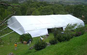 RENTA DE CARPAS GIGANTES