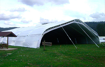 RENTA DE CARPAS GIGANTES