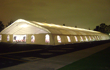 RENTA DE CARPAS GIGANTES