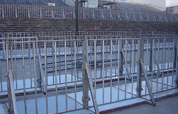 RENTA DE CARPAS GIGANTES